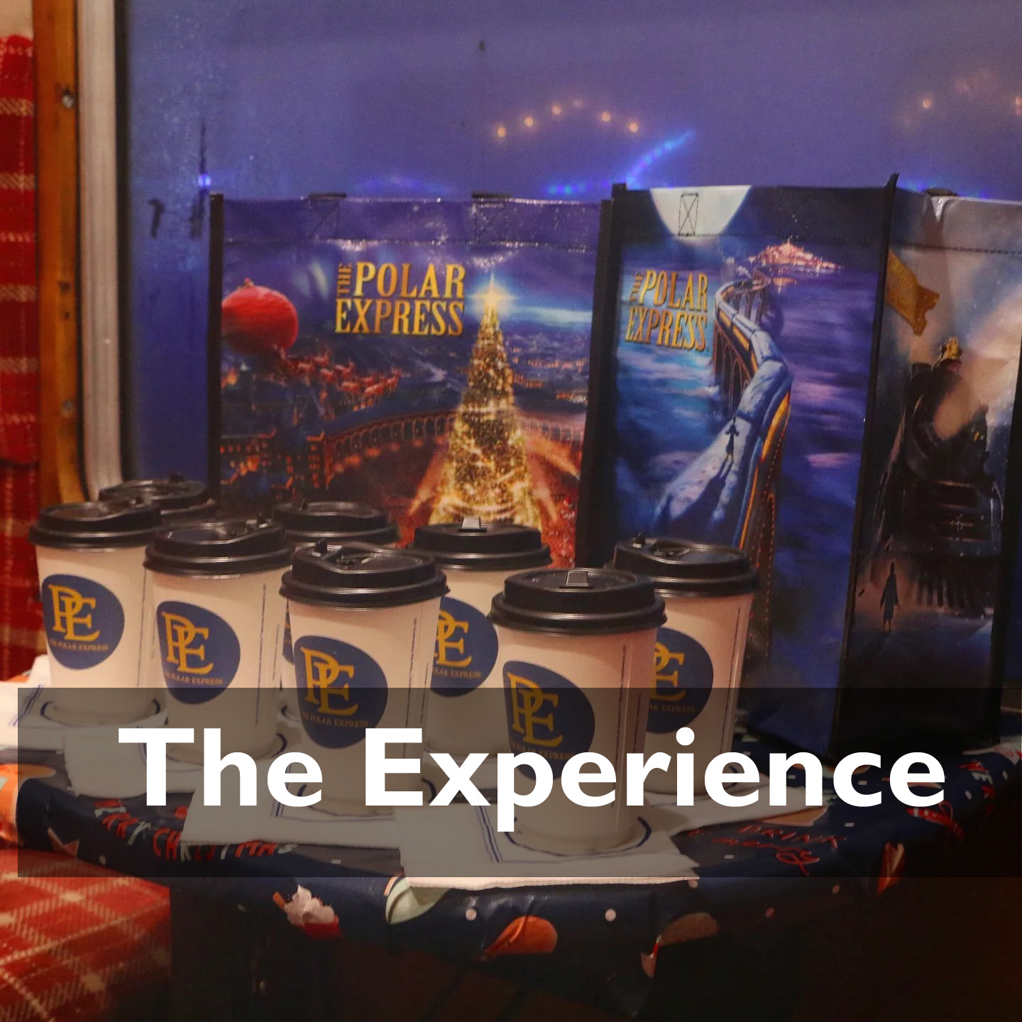 The Experience