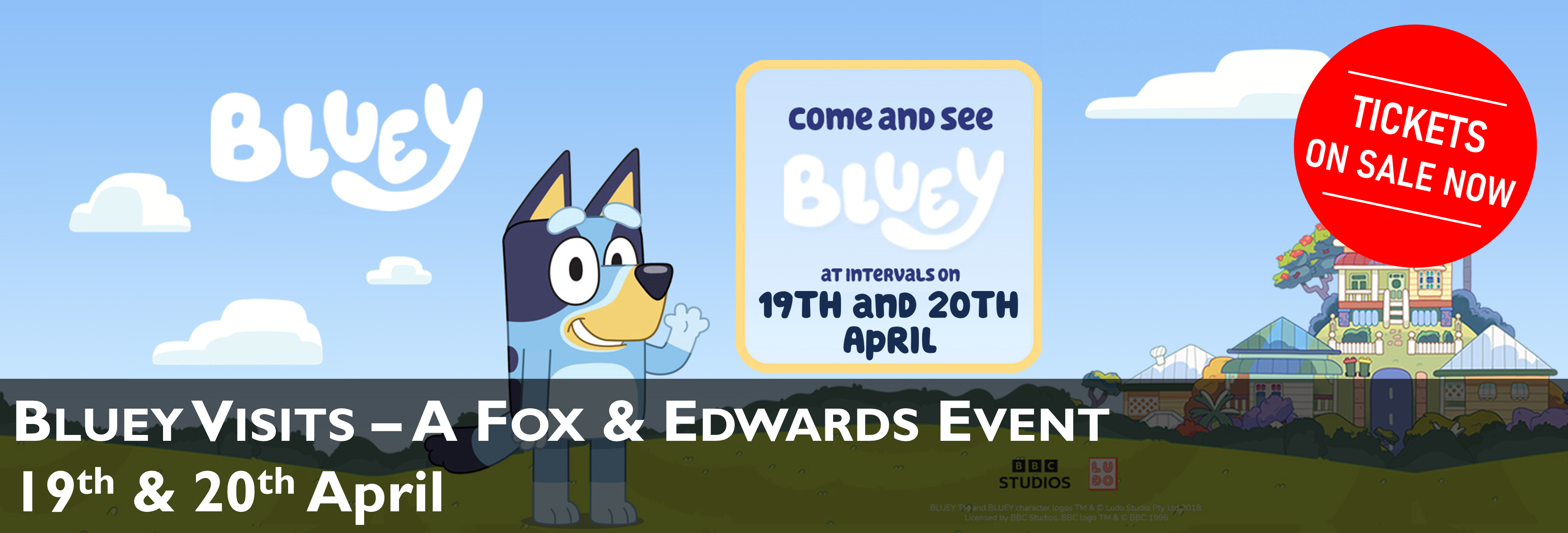 Bluey Visits